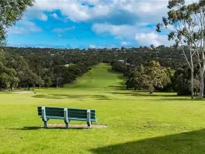 Anglesea Bike Park