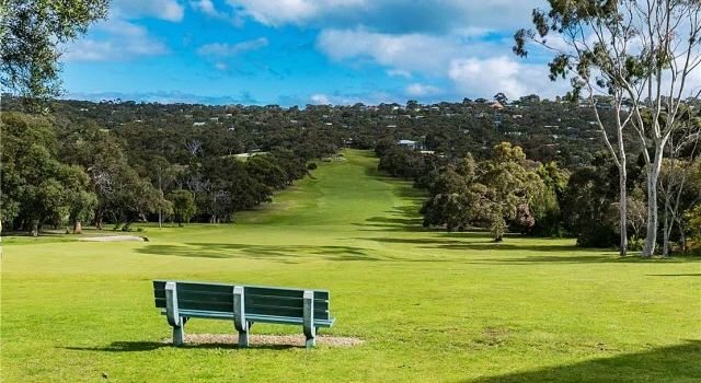 Anglesea Bike Park
