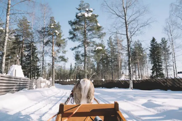 Snow Sledding in Rovaniemi