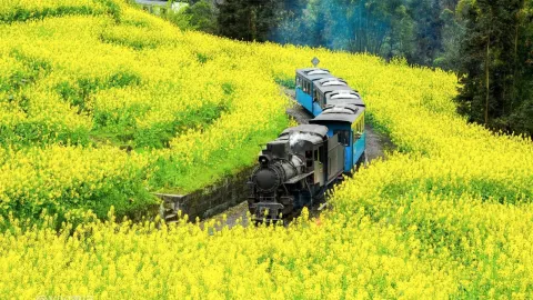 Jiayang Narrow-Gauge Train attraction in Leshan