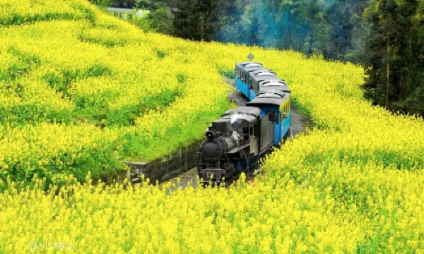 Jiayang Narrow-Gauge Train