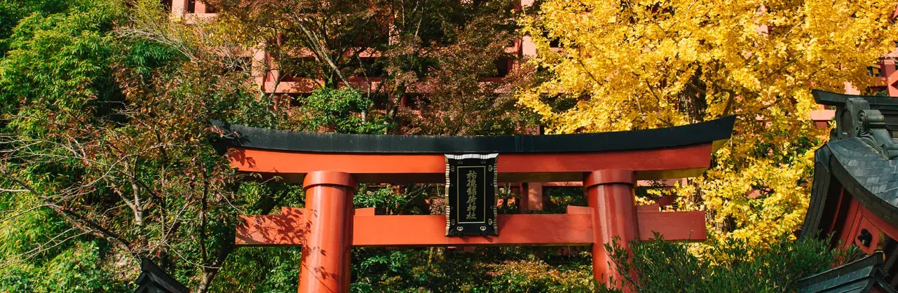 Fall Viewing Attractions