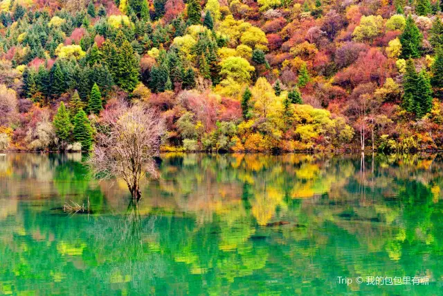 Fall Leaves Viewing in Heishui