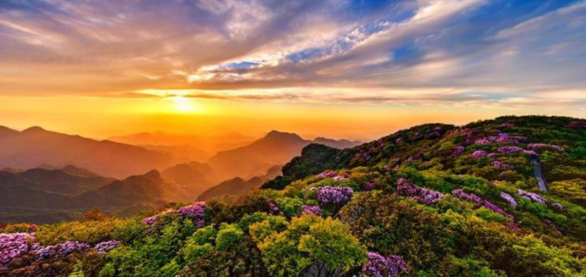 南川區自由行旅遊攻略（2026）：附近熱門好去處、人氣景點、行程規劃、住宿、美食、交通、天氣等等——重要資訊一文睇清（於2026年7月更新 ...
