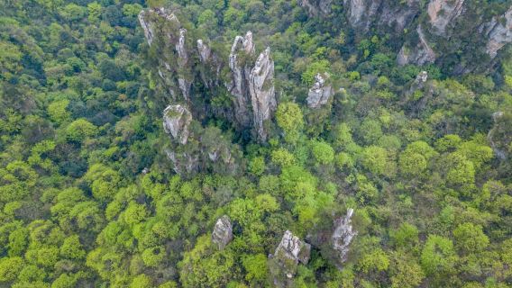 3-day Zhangjiajie tour to Avatar Mountain, Glass Bridge and Tianmen Mountain