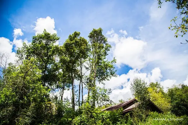 Pu'er National Park, Xiniu (Rhino) Plains Scenic Area