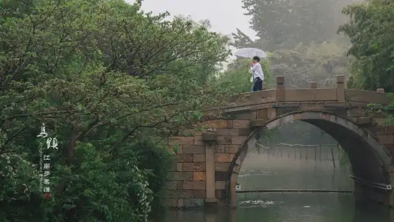 2人起私人導覽烏鎮西柵南潯古鎮一日遊上海嘉興上門接送