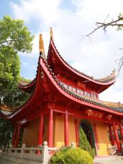 Yongqing Temple