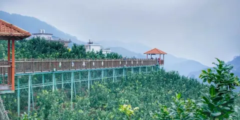 高寨村