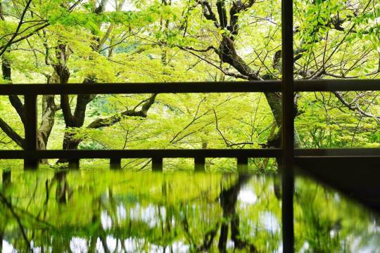 Kyoto + Ruriko-in + Sanzen-in + Yasaka Shrine + Kiyomizu-dera Temple + Sansanhan and Nianninzaka + Gion one-day tour