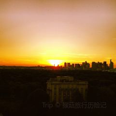 L'As du Fallafel張用戶圖片