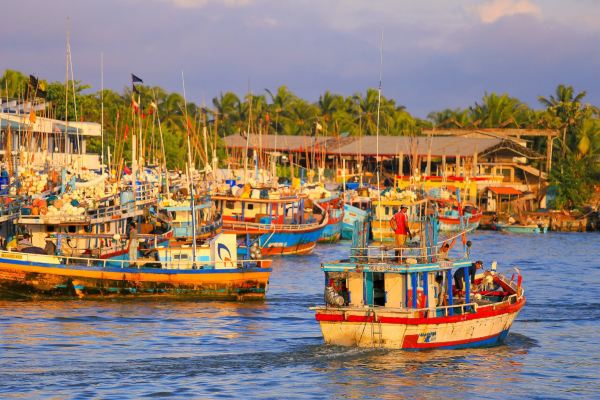 Central Fish Market Complex-Peliyagoda