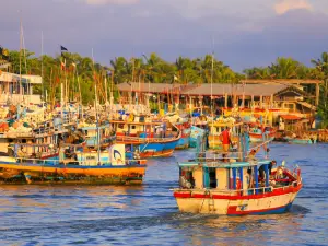 Central Fish Market Complex-Peliyagoda