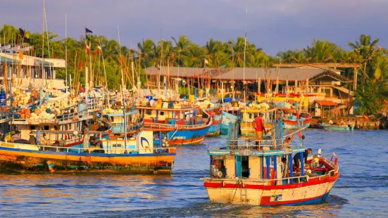 Central Fish Market Complex-Peliyagoda