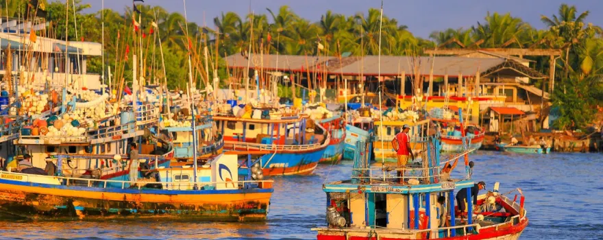 Negombo Lagoon