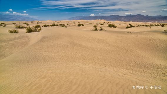 Death Valley National Park one-day tour in the United States [Small Group Tour]