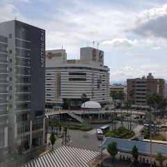 Dedaolamianwang dedaochezhanqianbendian User Photo