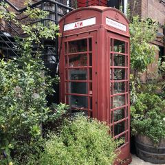 The Grounds of Alexandria User Photo