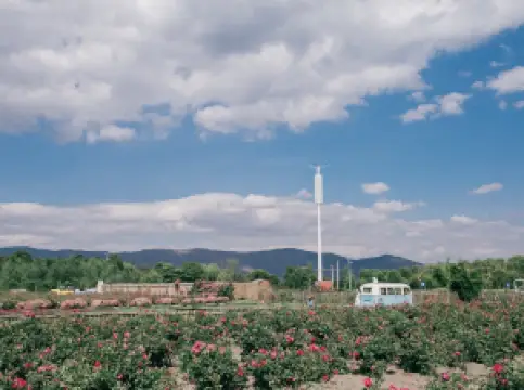 花伴一生バラ荘園