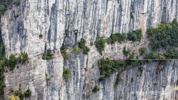 Partenza da Chongqing Wulong Tiansheng Third Bridge Wujiang Gallery Project 816 Tour guidato privato di un giorno