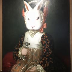 White Rabbit User Photo
