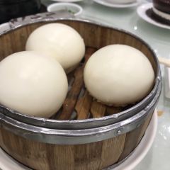 Phoenix House User Photo