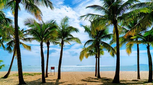 Coconut Dream Corridor