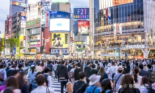 Shibuya