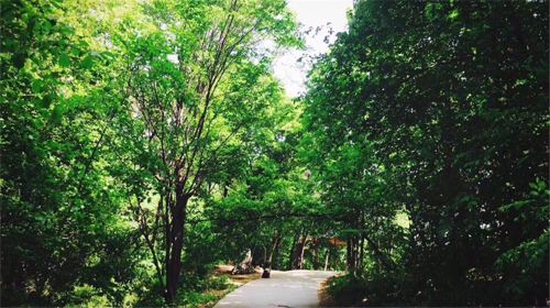 香爐山國家森林公園