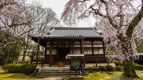 Daigo-ji Temple