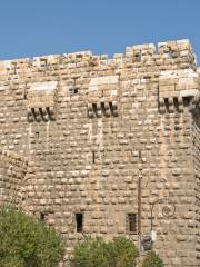 Citadelle de Damas