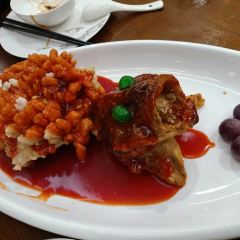 Song helou User Photo