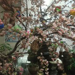 Wuyuerongji (shihudian) User Photo