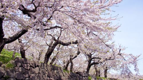 Maruyama Park