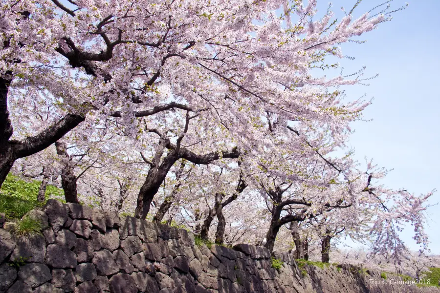 Maruyama Park