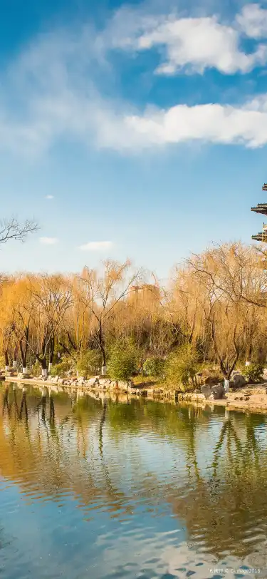 Shell Properties in Jinan