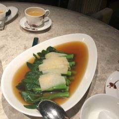 Ying Jee Club User Photo