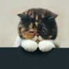 user-icon