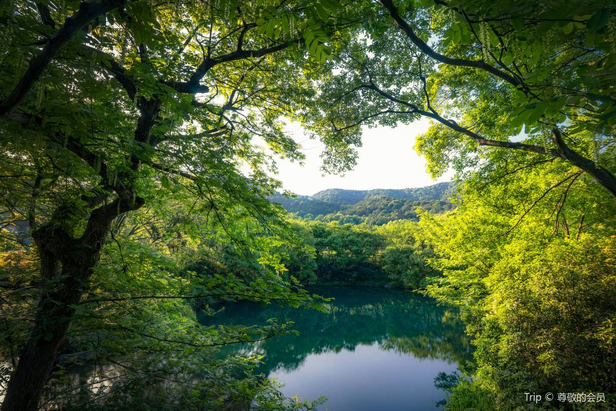 霊隠寺の歴史と文化的背景