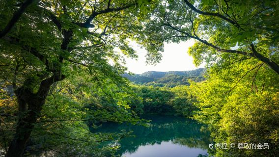 Tour riêng Hàng Châu trong ngày từ Thượng Hải bằng tàu cao tốc