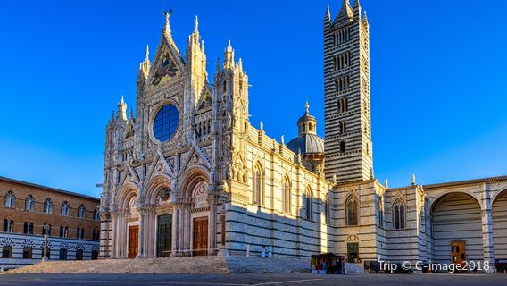 Nhà thờ chính tòa Siena