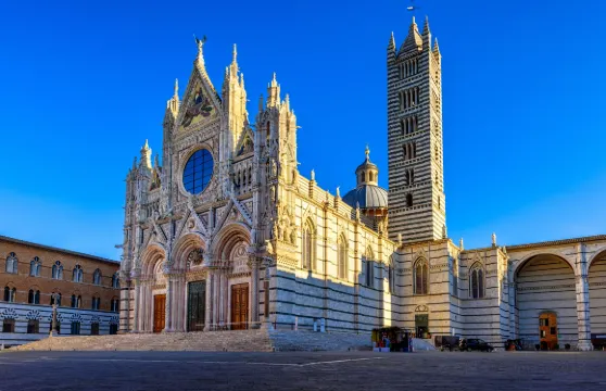 錫耶納大教堂3日紀念建築群（大教堂+Opa SI通行證）嬰兒