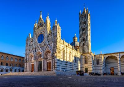 Nhà thờ chính tòa Siena