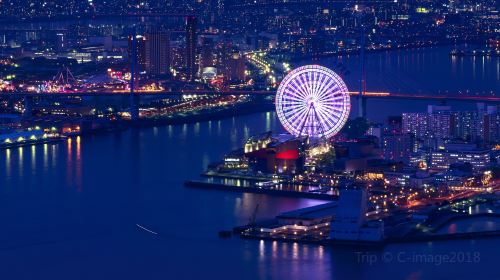 Tempozan Giant Ferris Wheel