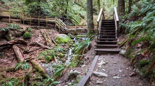 Quarry Rock Trail