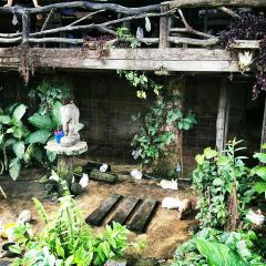 Thranthong Lodge Restaruant User Photo