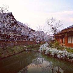 波羅蜜多飯店·如飴軒張用戶圖片