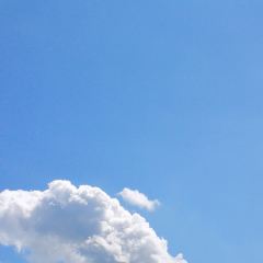 Hofgut Domane 여행 사진