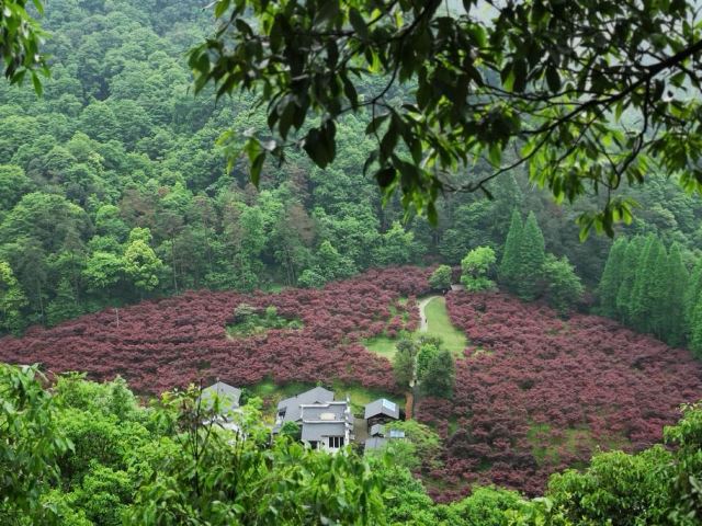 五洩風景區