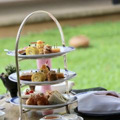 BODHI TERRACE張用戶圖片